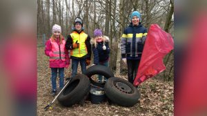 screen_Lingen dankt für Landschaftssaeuberung