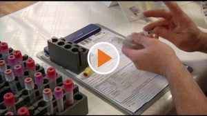 Belle spendet_Playbutton