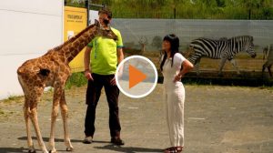 21 06 03 Screen_PolePole