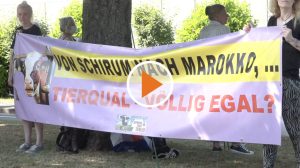 Demo Aurich Playbutton