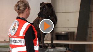 21 08 10 Rettungshunde suchen eine neue Trainingshalle