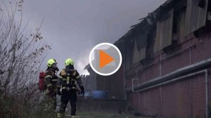 Screen_21 11 30 Videoupdate Brand in Schweinestall