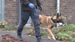 Screen_Erfolgreiche Razzia