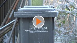 Screen_21 12 22 Abfallgebuehren steigen Aber nicht fuer Alle