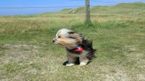 Screen_22 01 29_Warnung vor schweren Sturmboeen