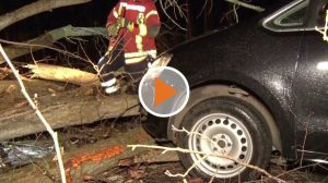 Screen_22 01 30_Rechtzeitige Bremsung verhindert schweren Unfall