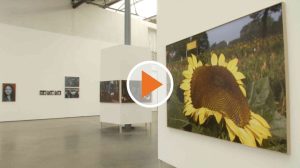 220217_Screen_Die_Stimmung_auf_dem_Lande