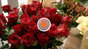 Screen_220214 Valentinstag