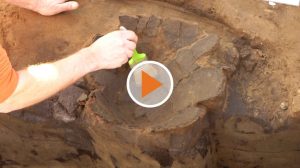 Screen_220223 Ausgraubung Lingen