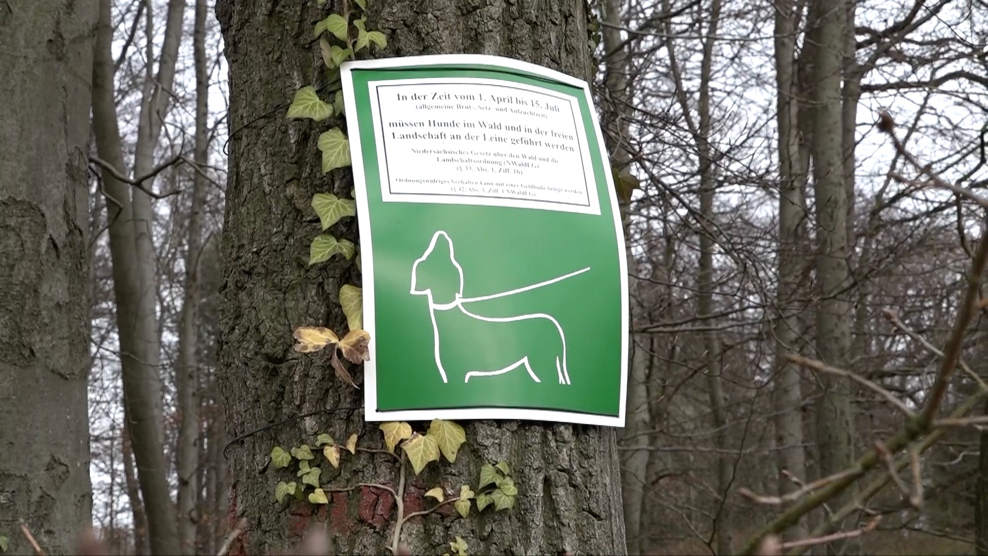 22 04 05 Leinenpflicht für Hunde screen