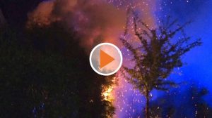 220501_Screen_Dalum_Heckenbrand_loest_Einsatz_aus