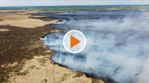 220513_Screen_Brand WTD Nachklapp