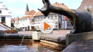 Screen_22-06-17-Umfrage-Hitze