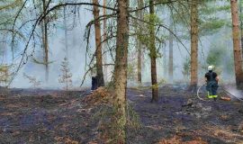 220905_Waldbrand zwischen Helte und Klosterholte