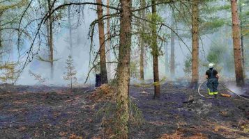 220905_Waldbrand zwischen Helte und Klosterholte