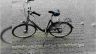 240425_Wem-gehoert-dieses-Fahrrad