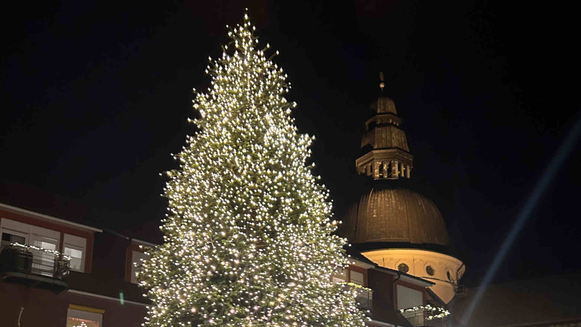 Screen_Baumspenden fuer Weihnachten gesucht