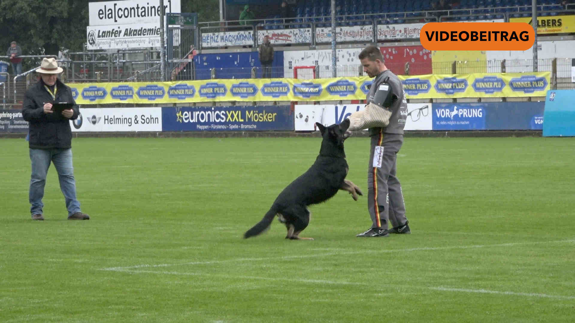 Screen_24 10 04_Schäferhunde Weltmeisterschaft 2024