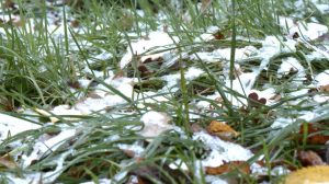 24 11 19 Wintereinbruch