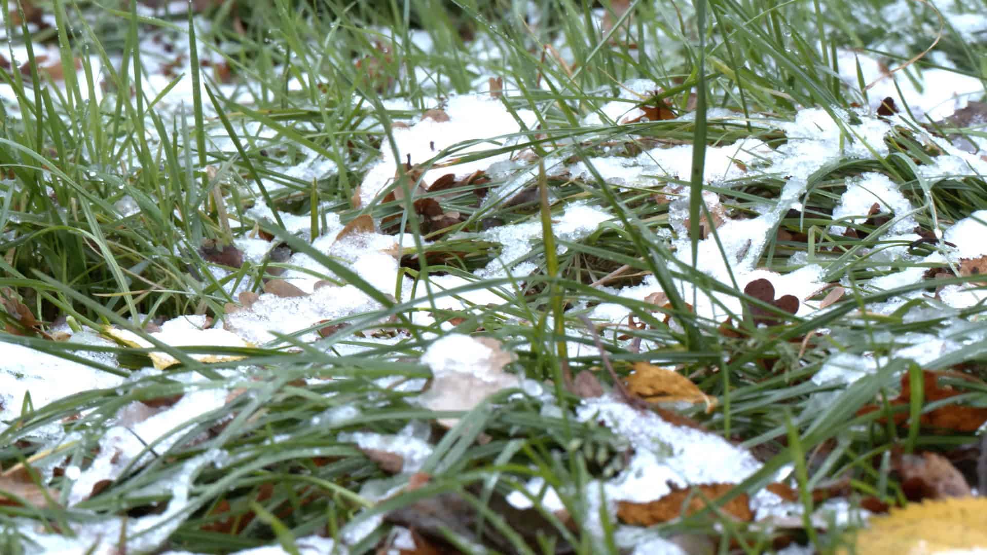 24 11 19 Wintereinbruch