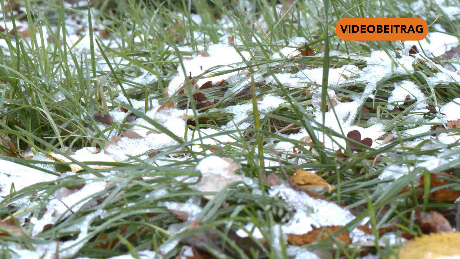 Erste Schneeflocken im Emsland