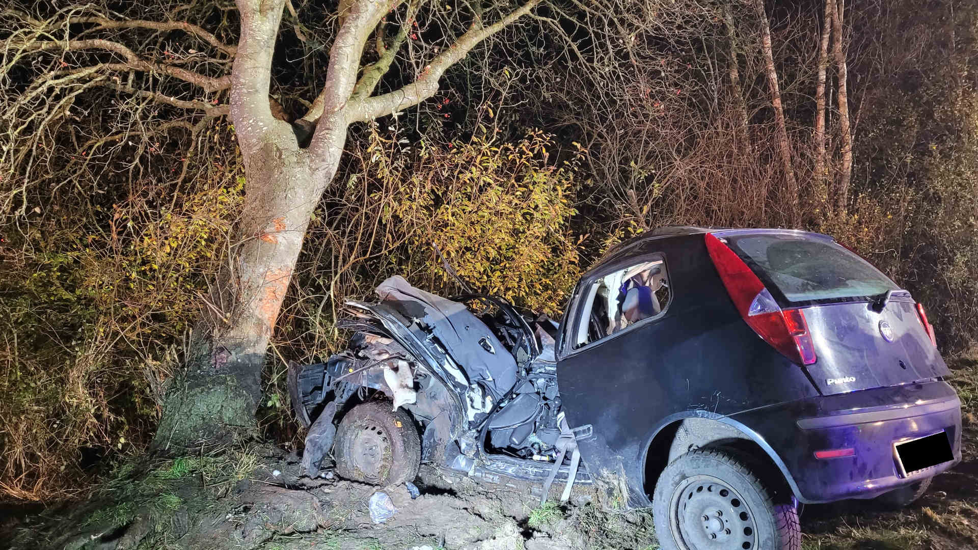 Screen_Auto prallt gegen Baum