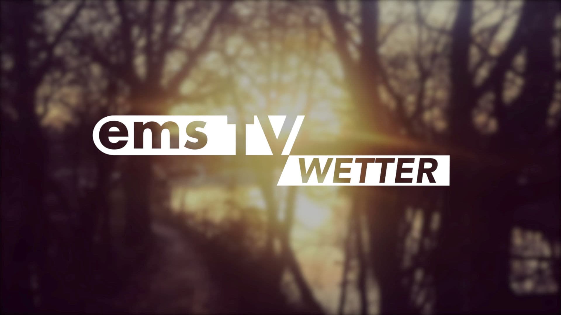 Das Wetter fuer_Bild Nicole Ehlers-2