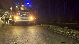 250107_Baum stuerzt auf Strasse Transporter kollidiert