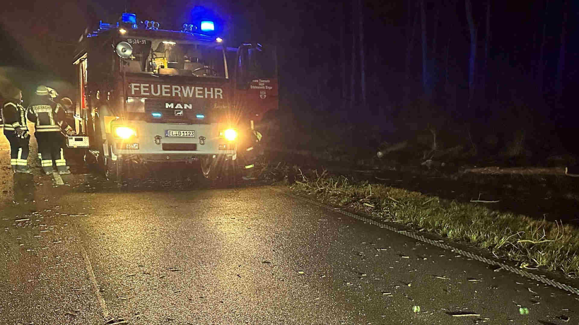 250107_Baum stuerzt auf Strasse Transporter kollidiert