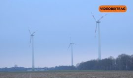 250123_Screen_Windkraft im Wald Fortschritt auf Kosten der Natur