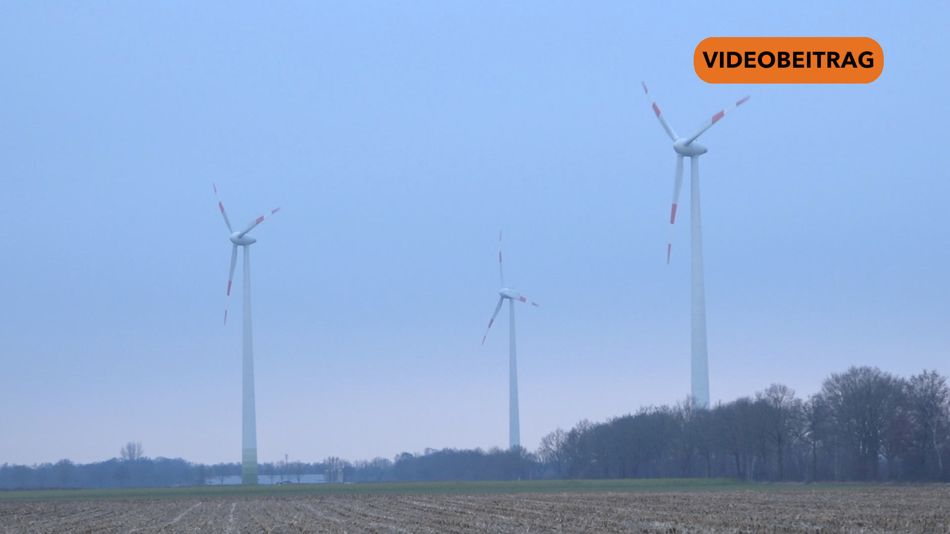 250123_Screen_Windkraft im Wald Fortschritt auf Kosten der Natur