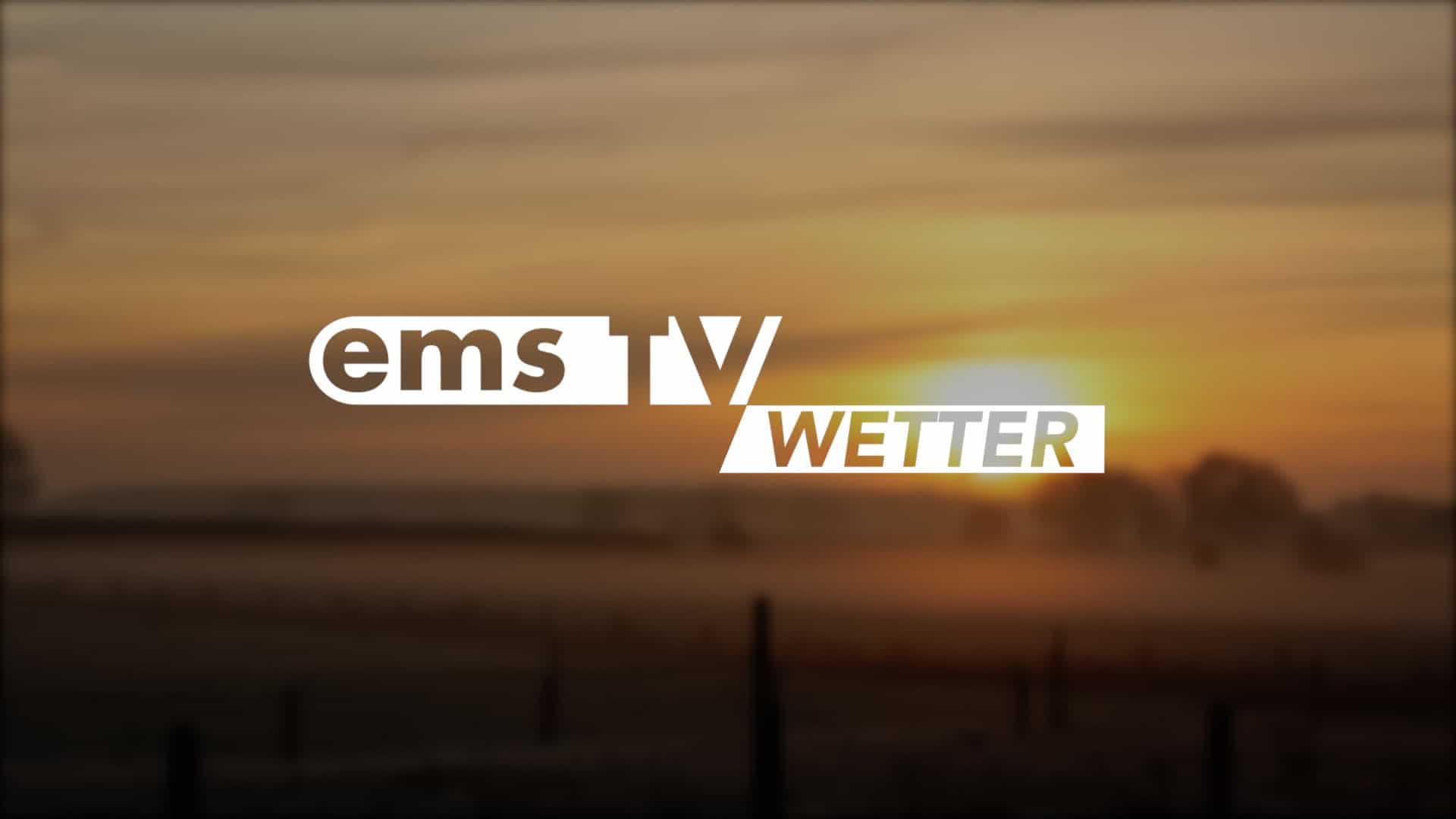 Screen_25 02 11 Wetter