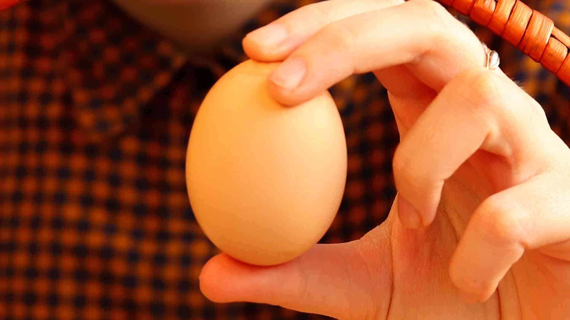 Screen_Geldstrafe nach Eierwurf auf AfD-Politiker