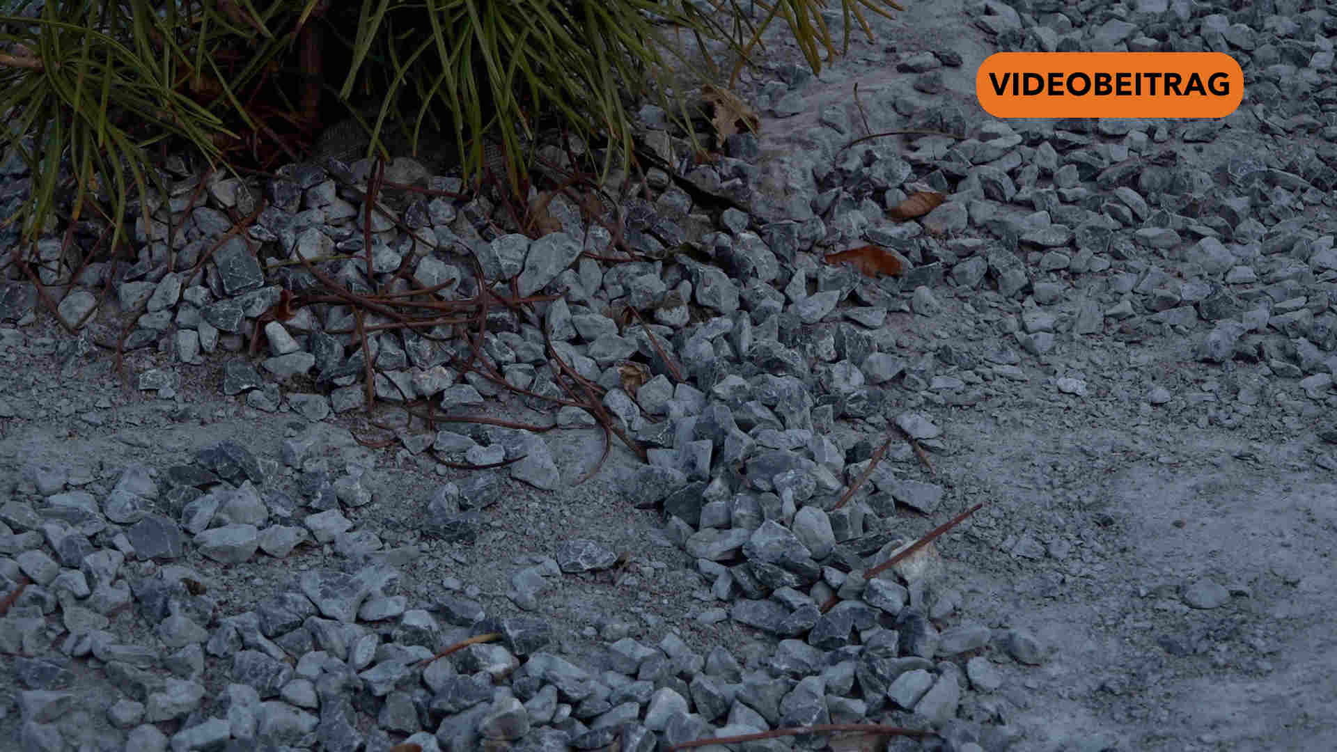 250324_Screen_Schottergarten in Konflikt mit Bauordnung