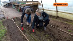 Screen_20250305_FÖJ