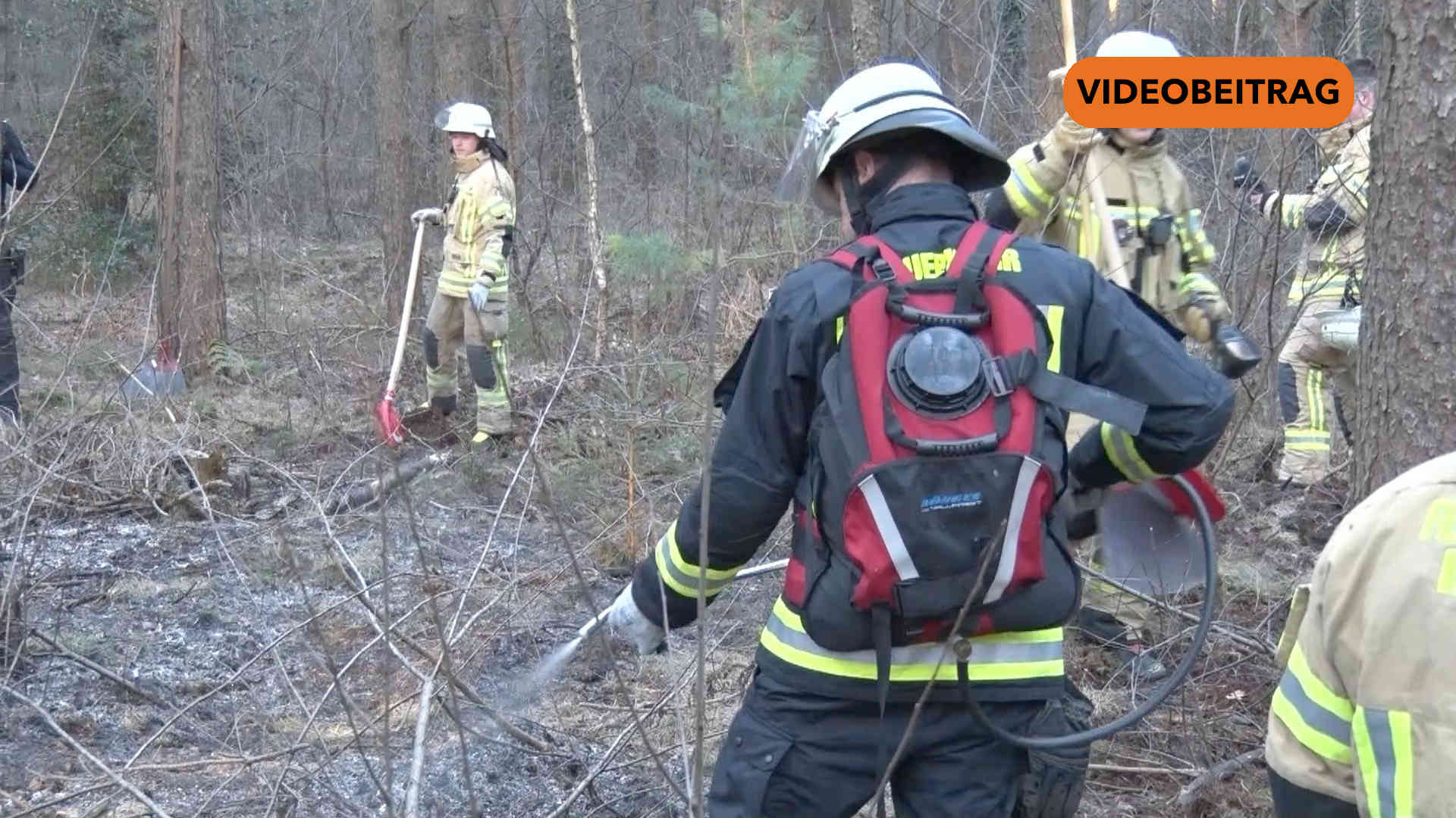 Screen_250318 Waldbrand Mepen