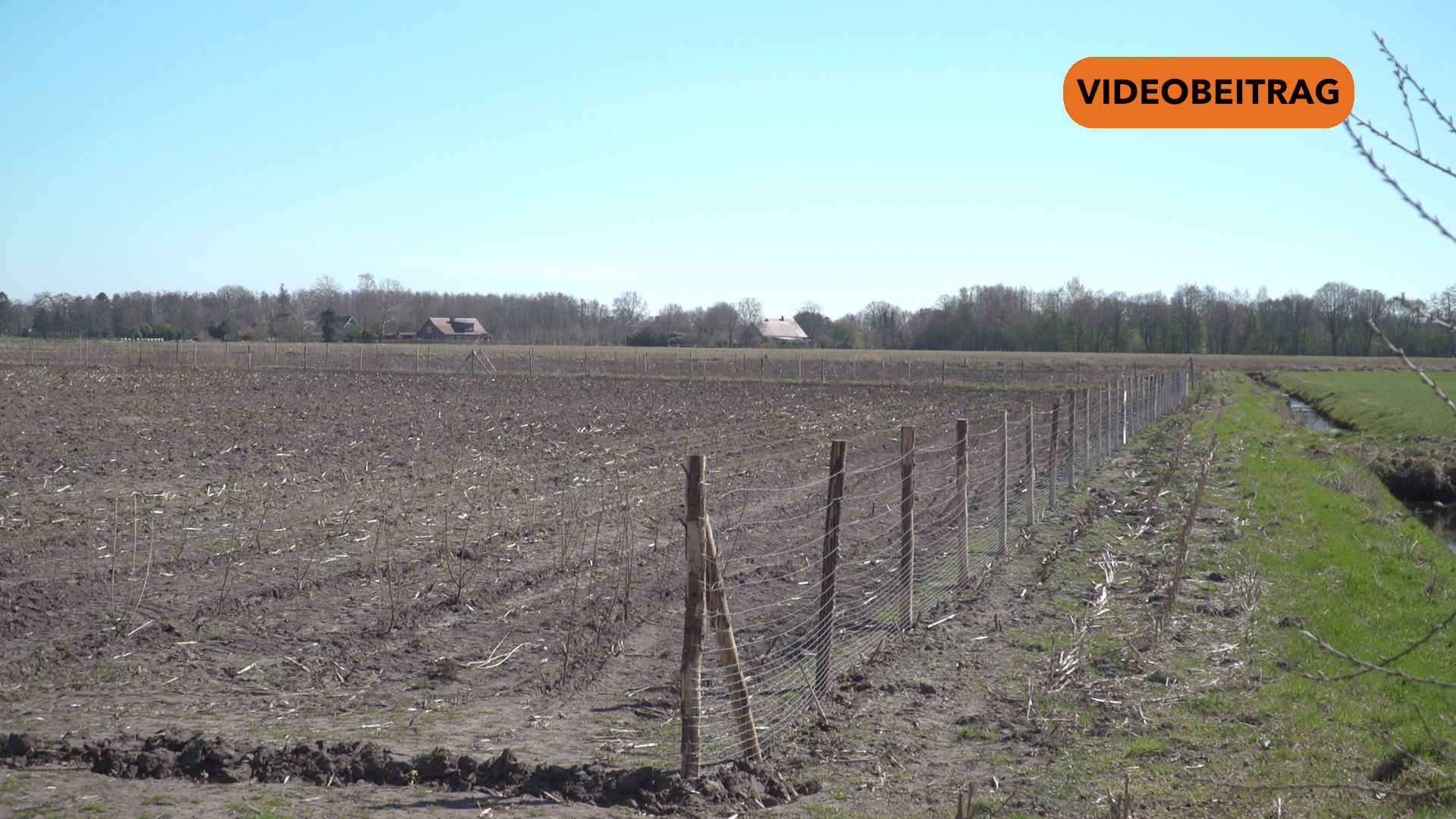 25 04 04 Wald Surwold SCREEN