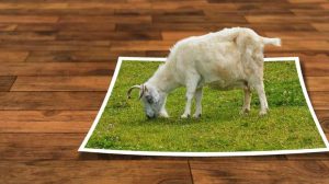 Screen_250425 Hintergrund entfernen