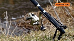 Screen_250429_Die Angelsaison startet Papenburg informiert