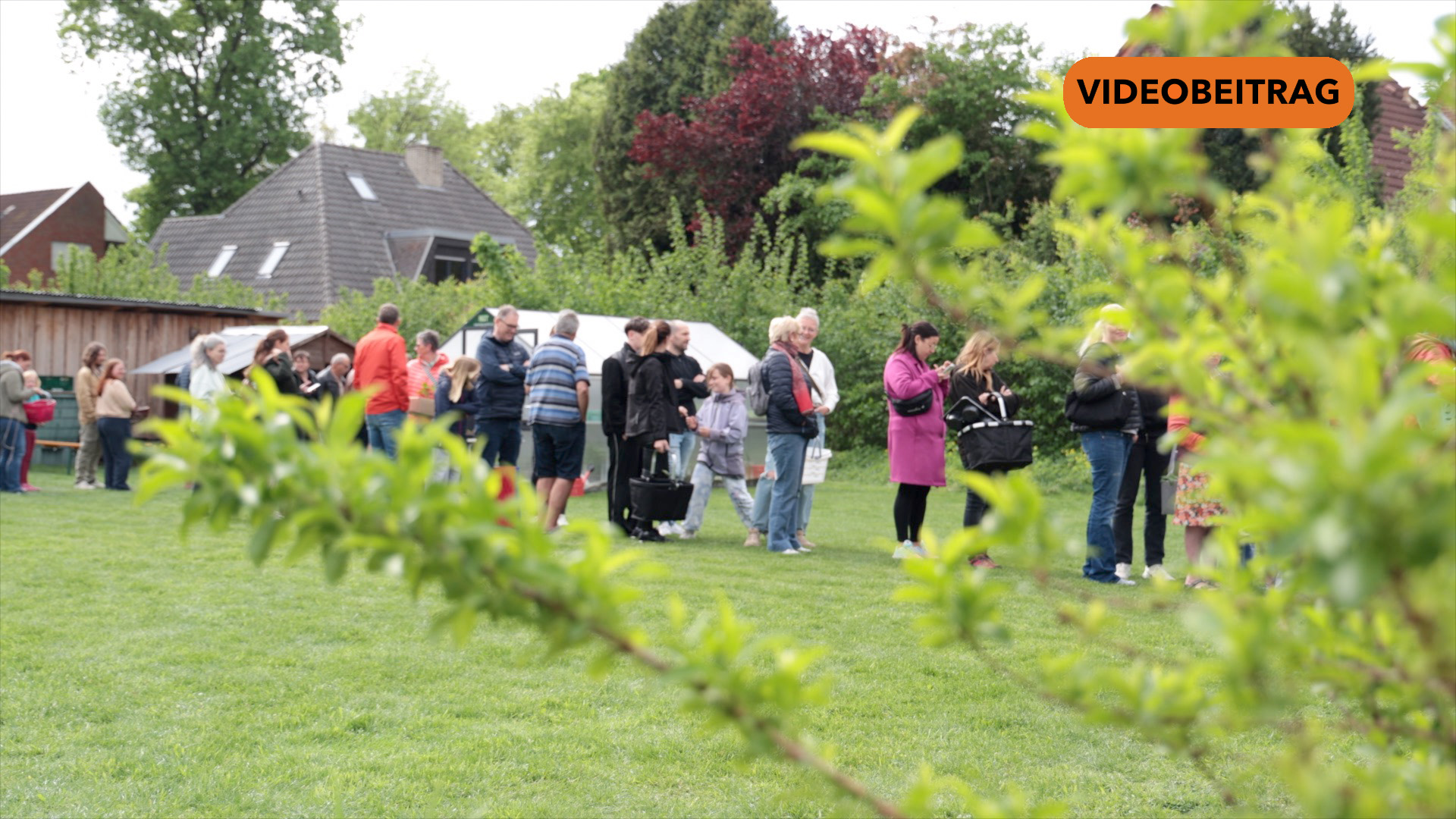 25 05 04 Jungpflanzenverkauf