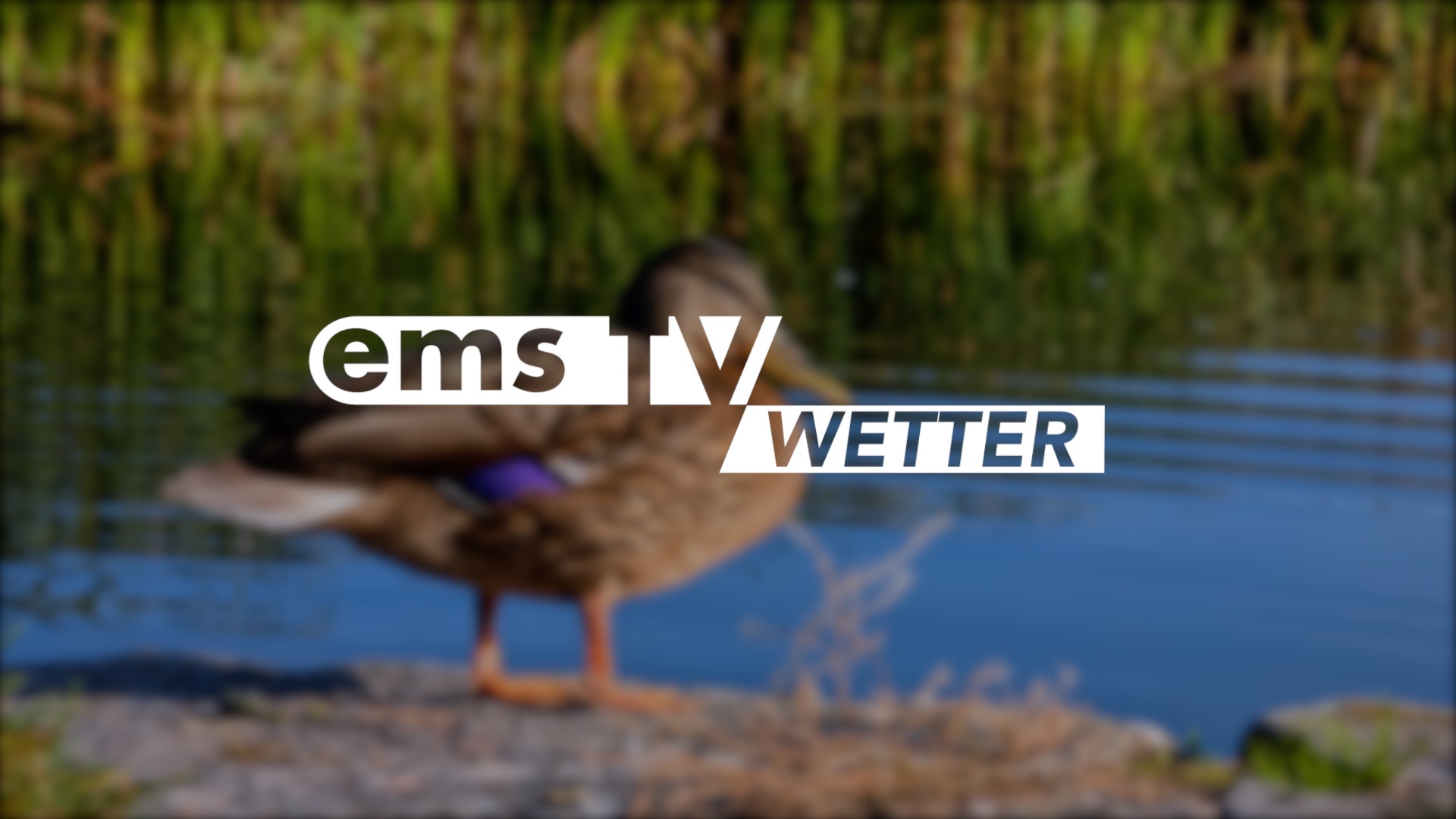 25 05 26 Wetter SCREEN