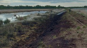 Screen_Moorbrand in der Esterweger Dose