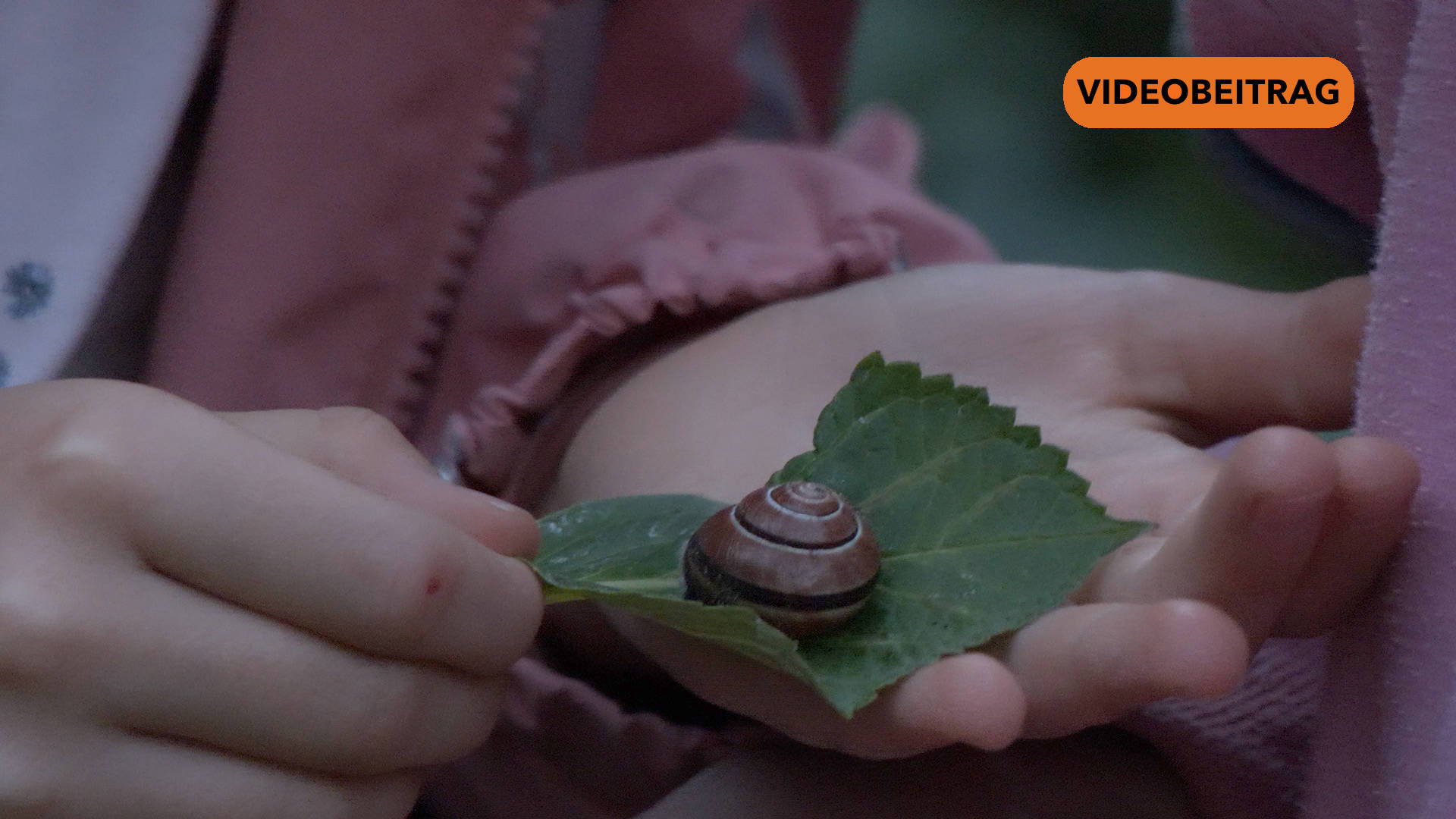 25 06 24 Krabbelwerkstatt SCREEN