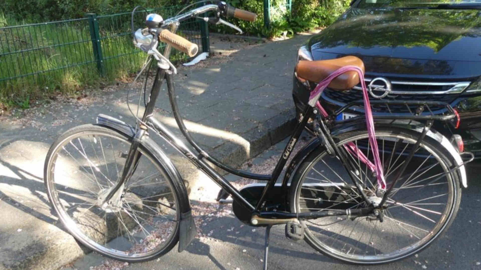 250611_Hollandrad sucht Besitzerin