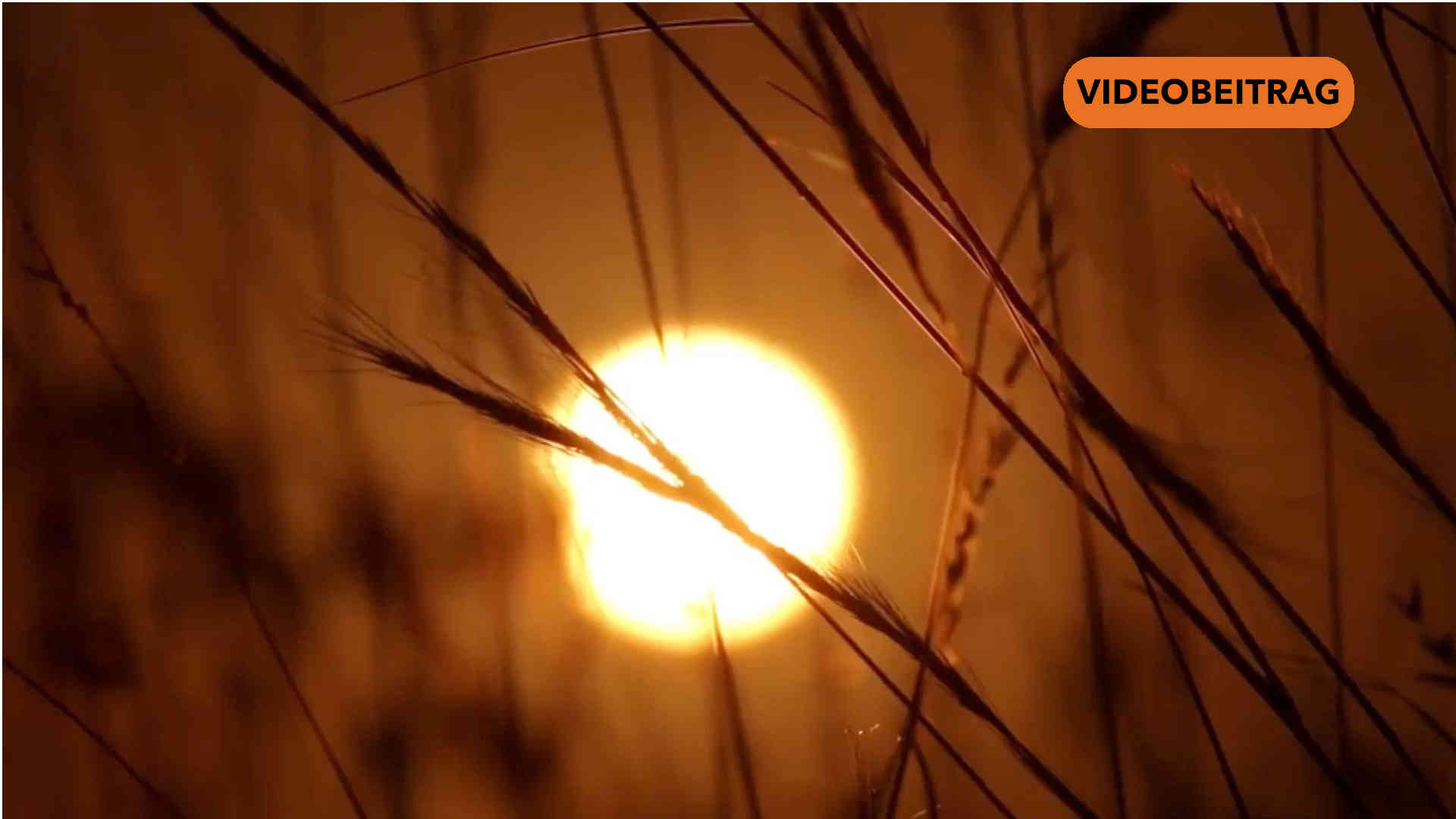 ScreeSommersonnenwende