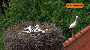 Screen_20250613_JochenundOscarTeil2