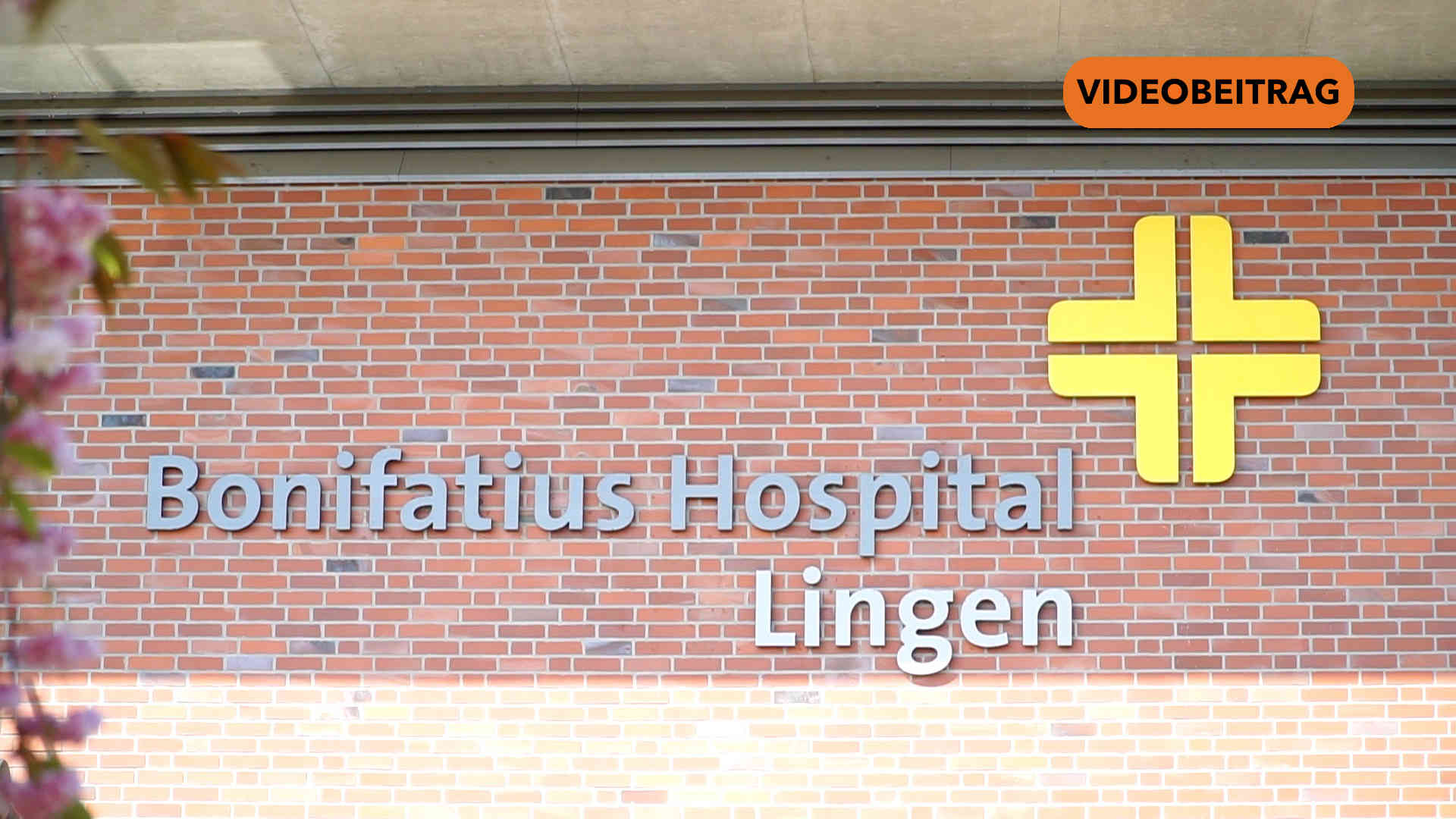 Screen_20250617_Boni