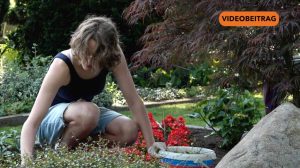 Screen_250617 Schuften fuer den guten Zweck