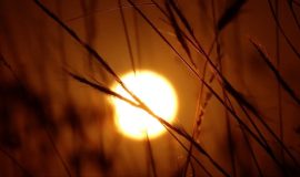 Sommersonnenwende Bild