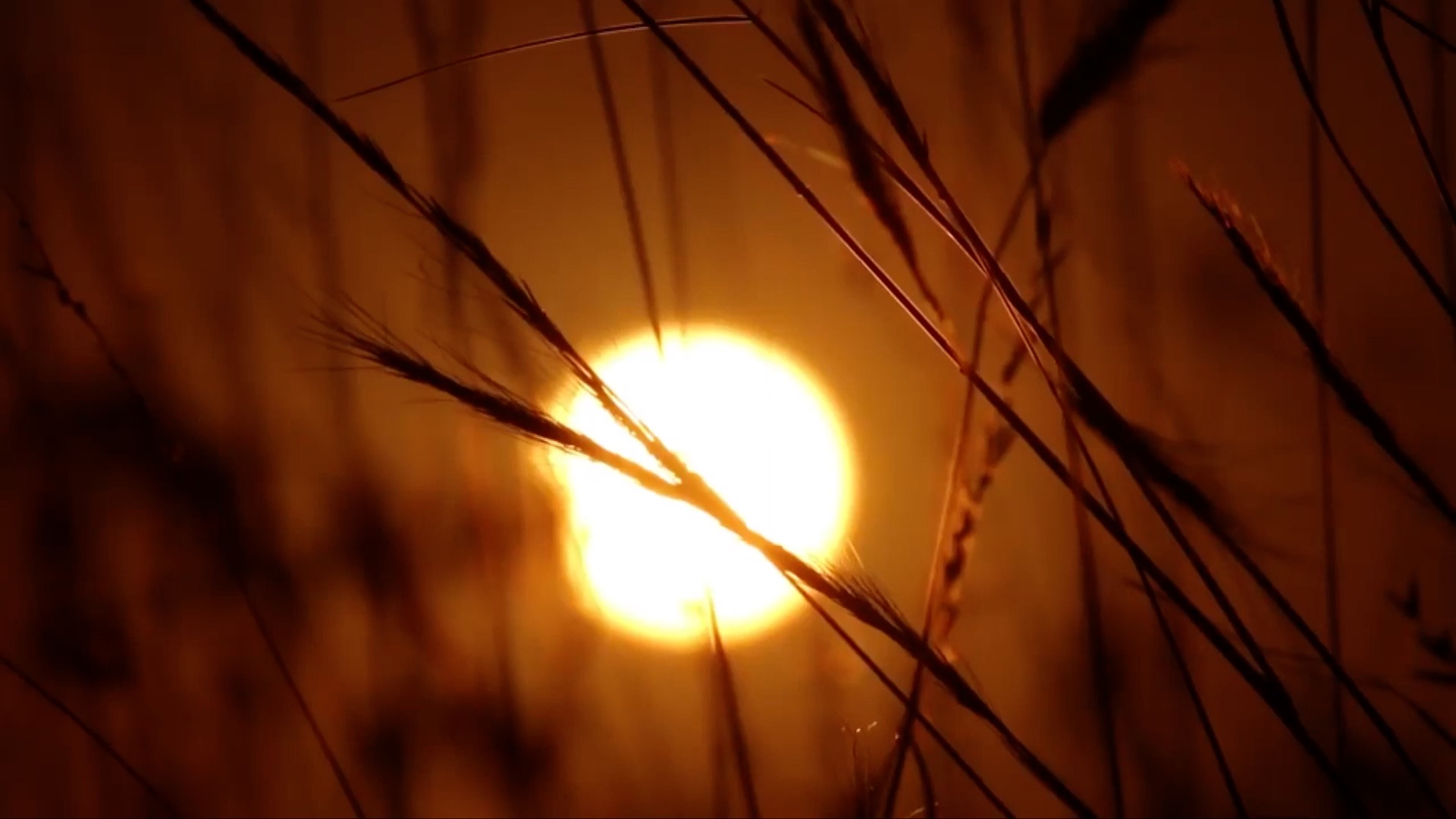 Sommersonnenwende Bild